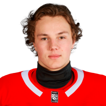 Плесовских Александр