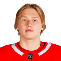 Тюрин Никита